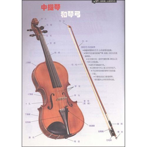 展示与对比:弦乐队标准化训练教程1 中提琴 常林 提琴