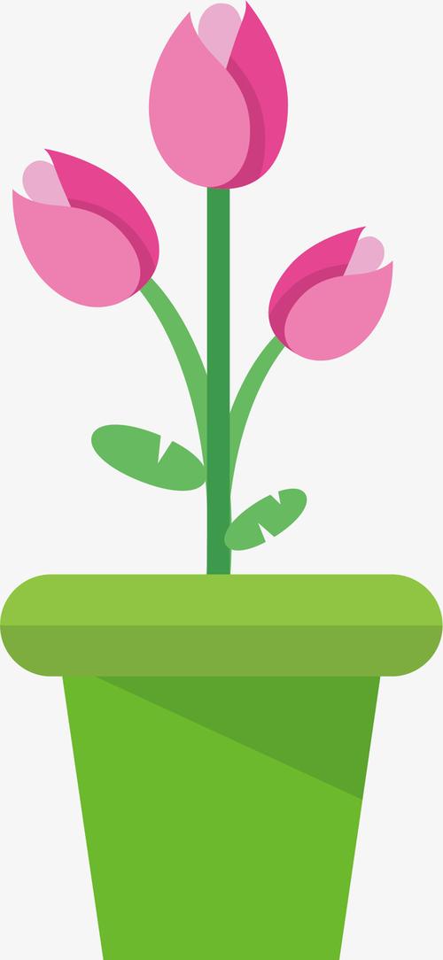 花骨朵清新装饰花盆