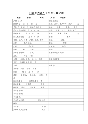 分娩记录.doc
