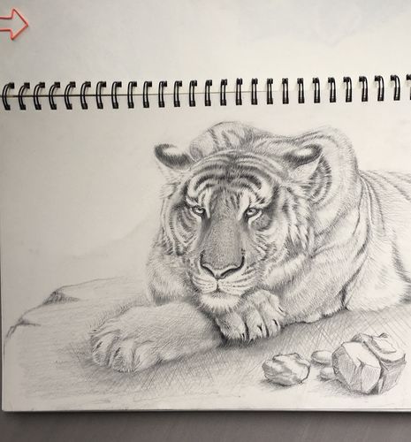 素描虎