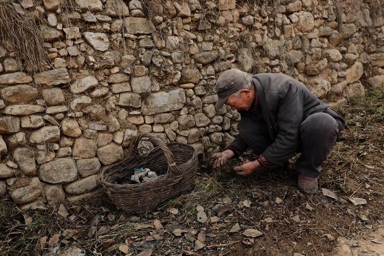 标题:闲不住的人