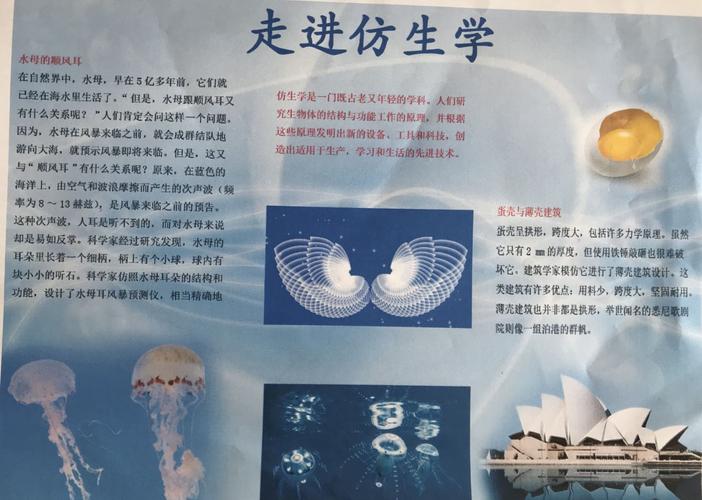 "走进仿生学"——电子小报