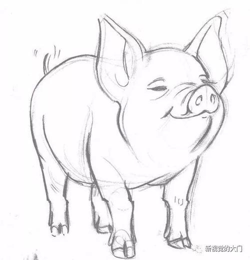 基础学习的简笔画小编收集了很多个动物类型的数据看着临摹就可以学会