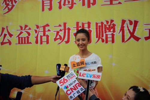 佟丽娅接受媒体记者采访 本网记者 刘志强摄