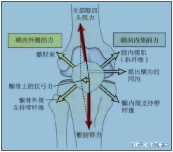 髌骨软化的运动康复感悟(二)