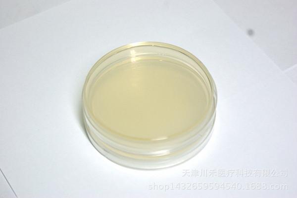 营养琼脂培养基平板 培养基平板 细菌培养 菌株纯化 培.