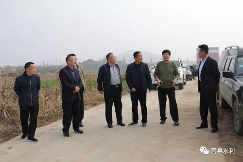 县政府党组成员吴锡华,县水利局,县林水集团,峤山镇,库山乡人民政府