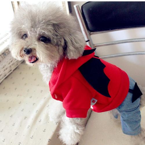 小型犬宠物贵宾犬比熊泰迪狗狗衣服秋装秋冬装四脚衣卫衣春装
