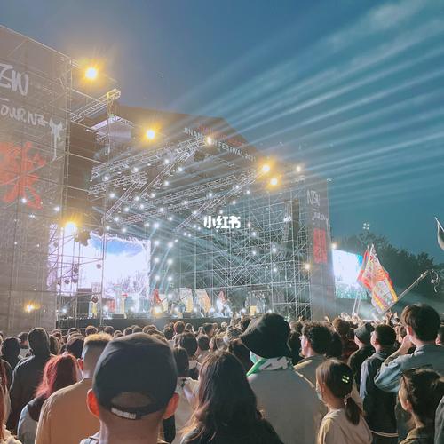 男朋友_济南迷笛音乐节_景点