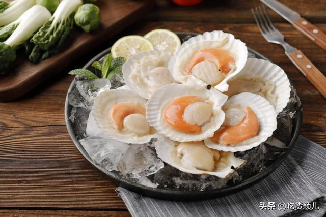 肉质鲜美夏夷贝让人回味无穷的存在