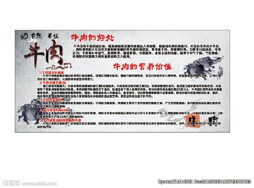 吃牛肉的好处图片