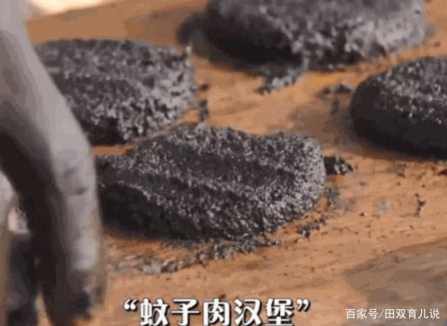 在非洲,每吃一个肉饼,就会死去50万只蚊子,网友:有点瘆得慌