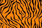 矢量彩色老虎皮条纹底纹图案