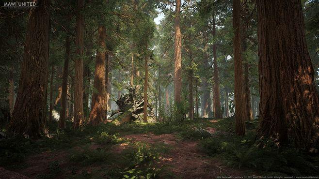 ue4 redwood forest, willi hammes : procedural giant sequoia