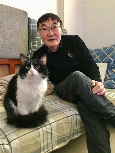 中华田园猫 黑白奶牛猫 是我家的宝贝,也是我的伙伴,天天围着我转