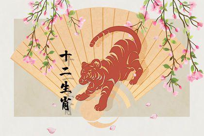 属虎的出生年份