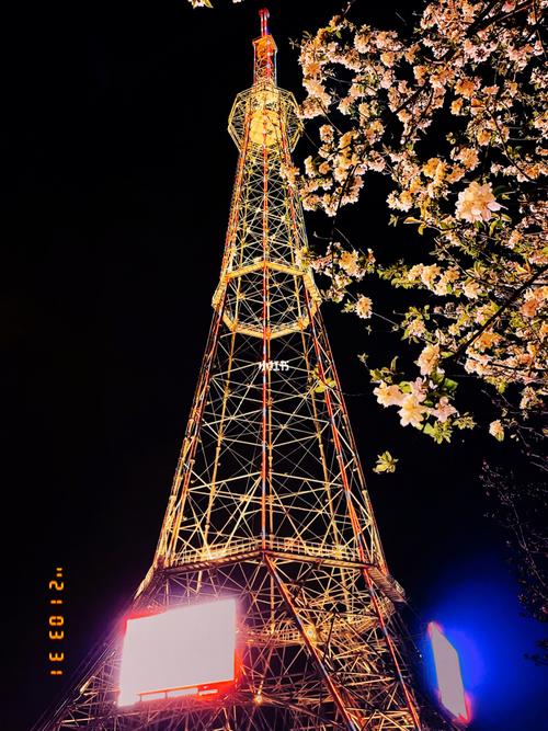 辛集电视塔92_韩国料理_手机摄影_iphone12pro_摄影