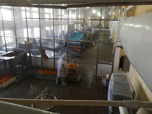 在科沁万佳食品有限公司开展乌兰浩特一中生物研究体验活动