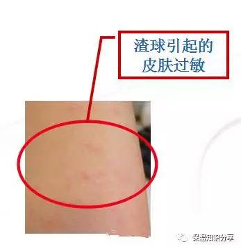 保温管使用的玻璃棉和岩棉怎么区分?