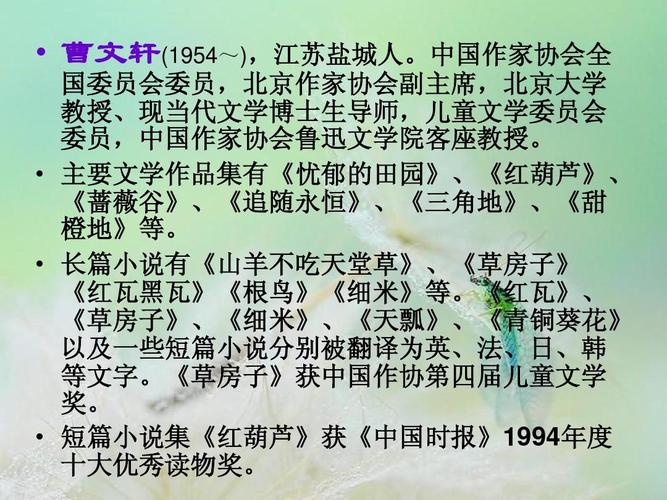 好书推荐《青铜葵花》ppt