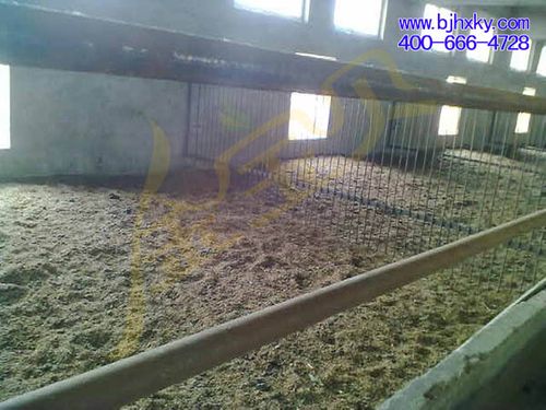 发酵床养羊解决冬季养羊圈舍取暖问题