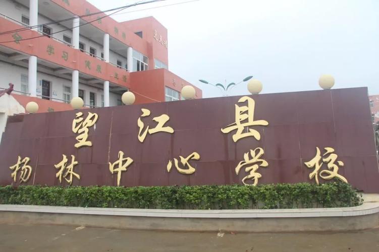 美好学校推动乡村儿童阅读望江县杨林学区走访纪实