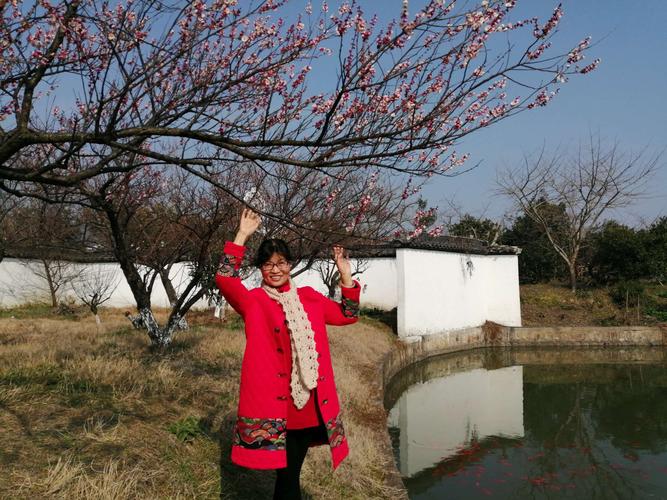 院子里的梅花第一批开放,色彩分层.