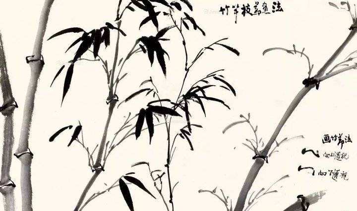 陆抑非讲解国画竹子的画法