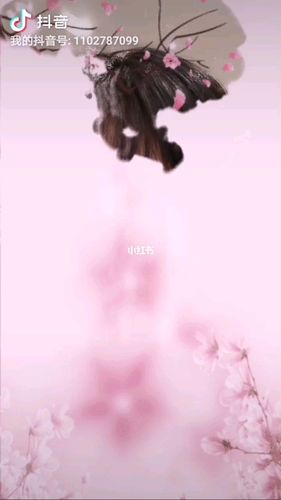 720_1280 竖版 竖屏