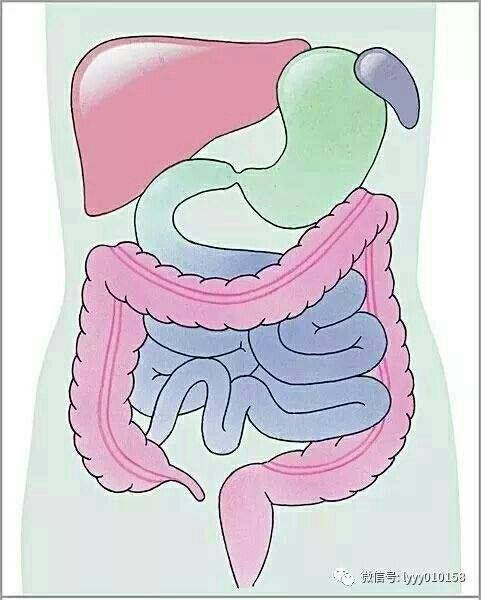 【吴岩医生之医学常识16】:一个90岁肠梗阻病人的思考