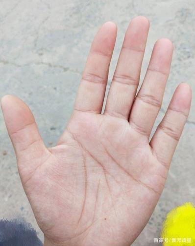 双手出现三豹纹事业上容易成功