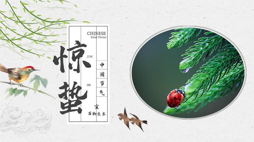 花鸟元素二十四节气惊蛰介绍ppt模板.pptx