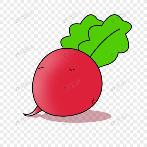 免抠元素 手绘/卡通元素 水萝卜.psd