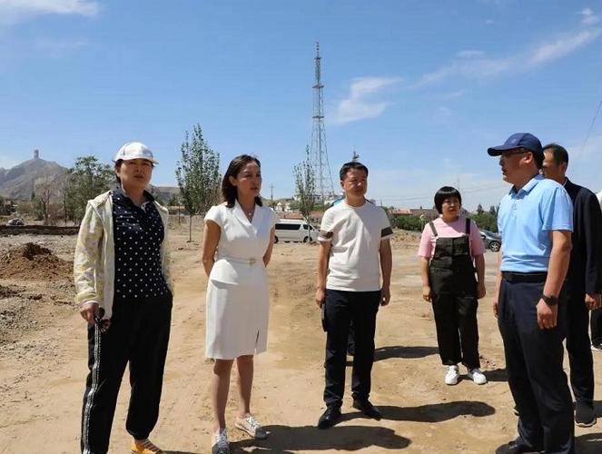 奇飞云调研海勃湾区防汛防洪工作