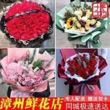 漳州鲜花店同城速递红玫瑰康乃馨向日葵花束礼盒生日表白芗城送花