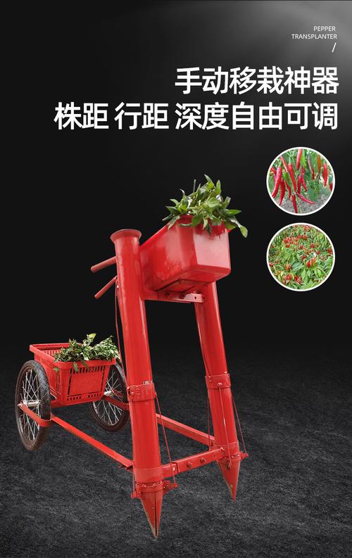小型辣椒移栽机器自主研发多种款式型号苗壮农业种植机械