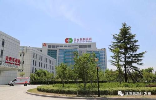 潍坊高新区加快推进医养结合产业发展