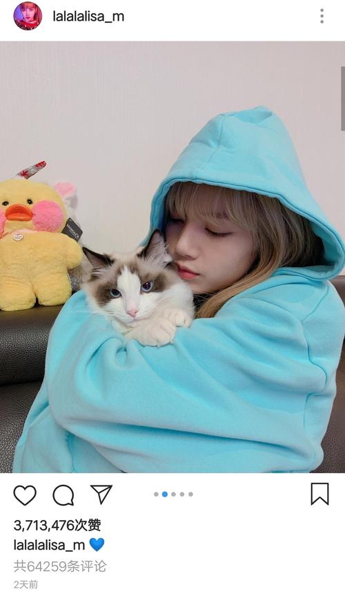 lisa与猫·blue·今天