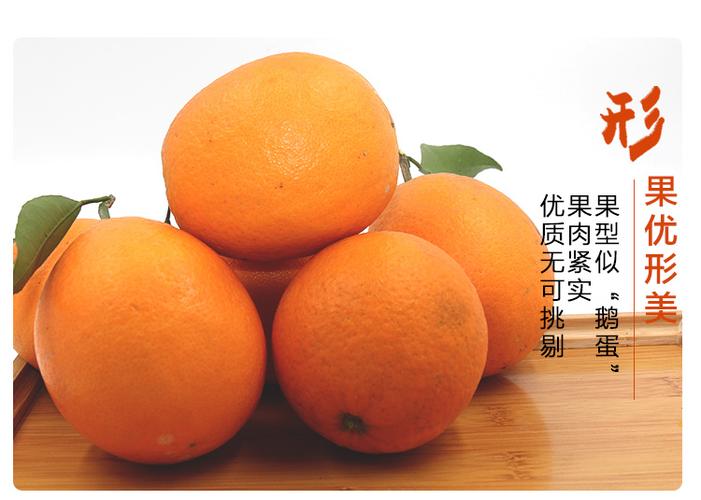 【天天特价】5斤装新鲜现摘秭归中果脐橙手剥橙子同赣南橙品种_7折