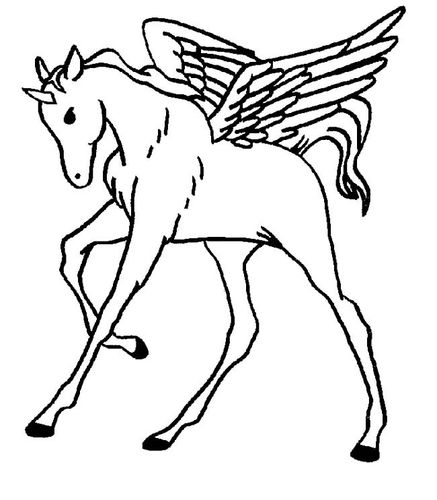 幼儿马简笔画儿童画图片_天宫骏马儿童绘画图集 小马简笔画