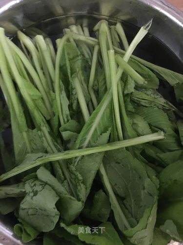 春菜肉丝汤