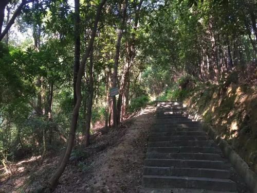 增城南香山一个美如画的地方你能登顶吗