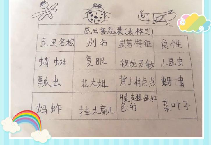 昆虫备忘录 一小东关校区三年级三班