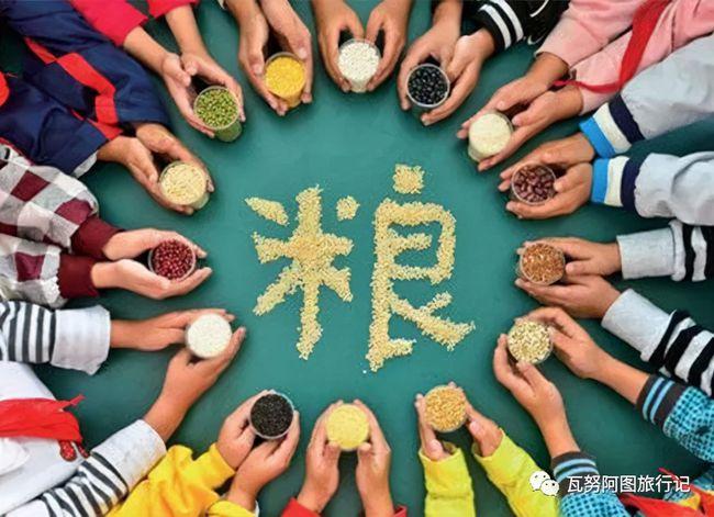 越来越多的国家正面临日益严重的粮食危机,这场疫情的确逆转了多年来