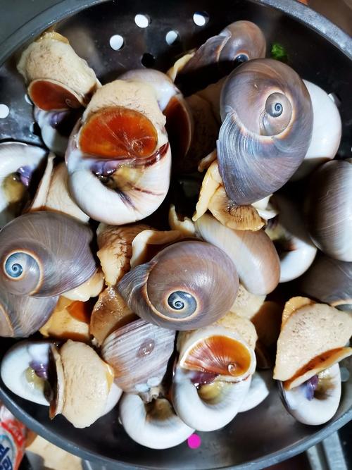 快手猫眼螺的做法