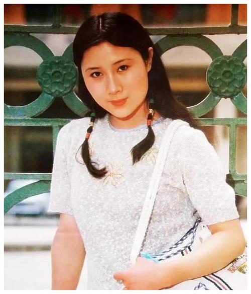 "牧羊女"丁岚:当红移民新加坡,落魄后回国"捞金",今成