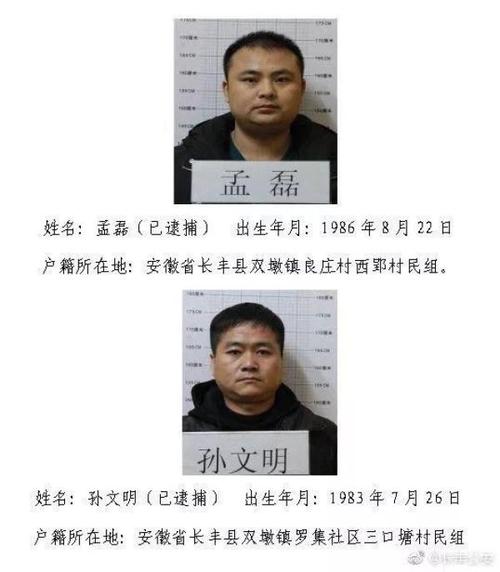 合肥警方发布多个征集涉黑涉恶犯罪线索的通告