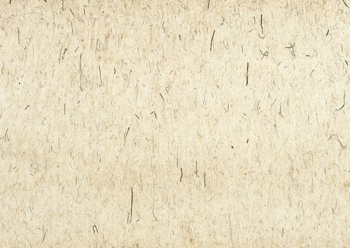 纸张纹理素材:宣纸,牛皮纸.