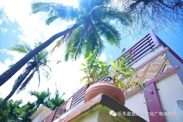 喜讯!乐东大安鹿宿民宿农家院成功获评"银宿"级民宿