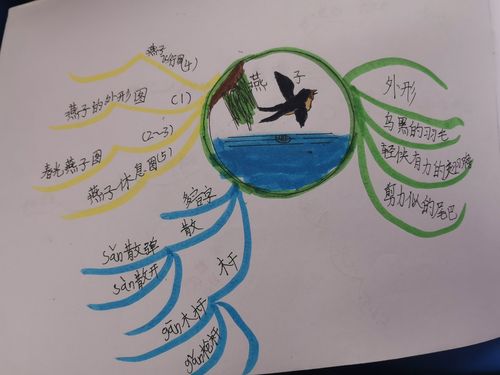 燕子——三(3)班思维导图展
